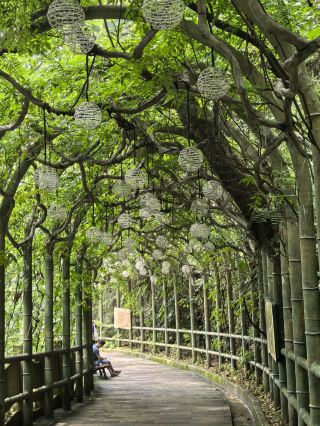 滇東北の宝の避暑地！滝の郷・黄連河完全攻略