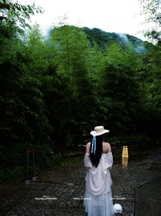 Rainy day at Qinling mountain retreat Yangpo courtyard brings full healing vibes