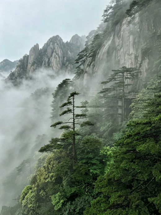 黄山の神髄を味わう、混雑回避のゆったり2日間攻略。 | Trip.com 黄山