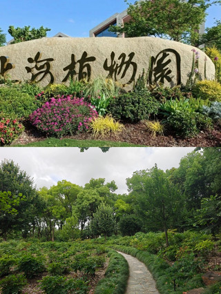 99% of parents in Shanghai don't know this | A 7-yuan "autumn fairytale" in the city center for you and your kids
