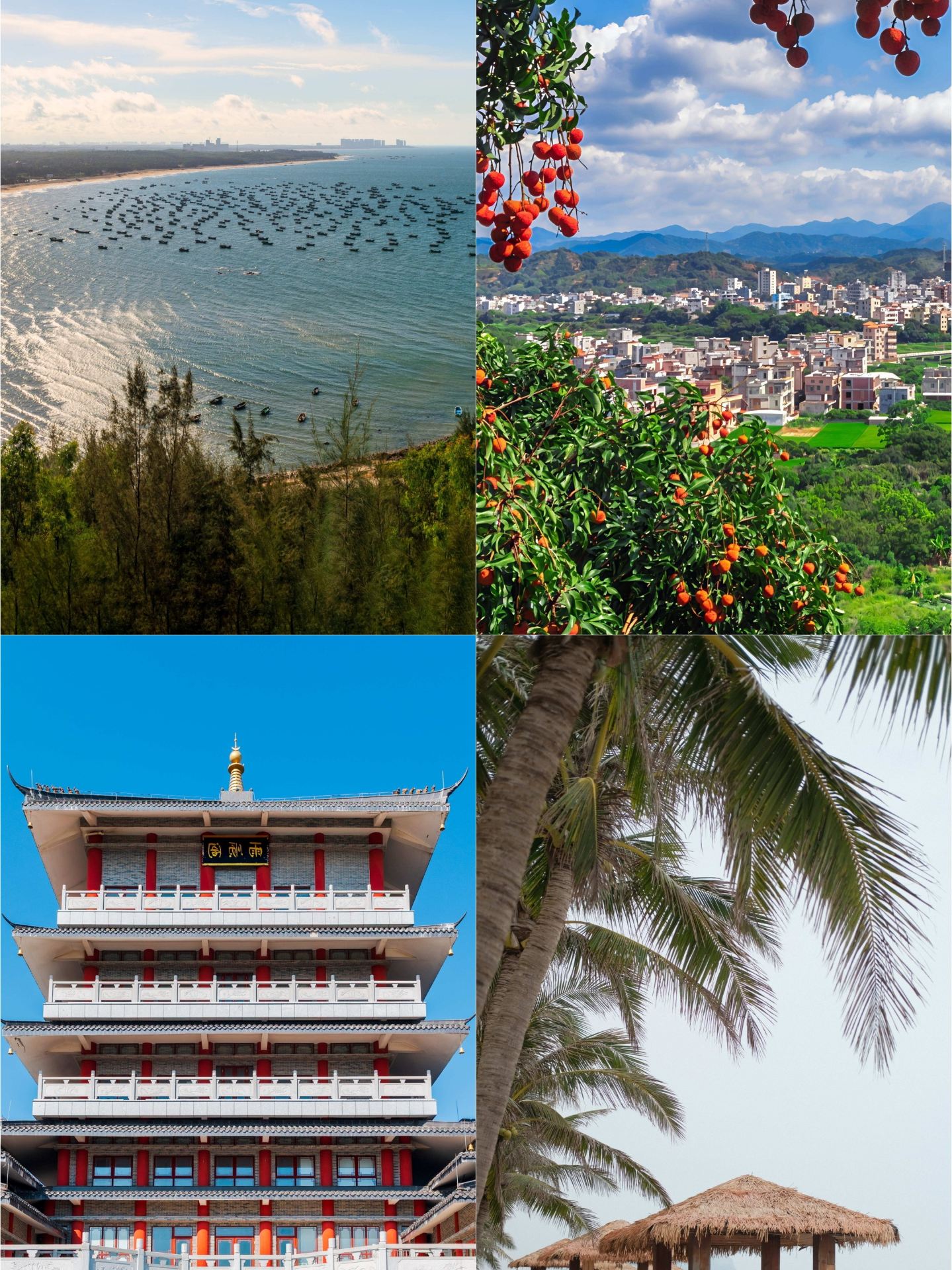 Just got back from Maoming, and honestly, I wouldn't recommend visiting in September or October