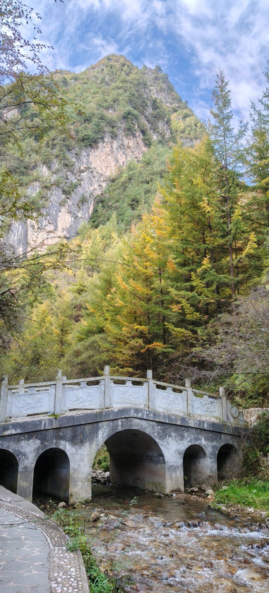 Zheyang Mountain in Zhang County, Dingxi City, Gansu Province, is a national 4A-level scenic area. It features canyons, karst landforms, and forest retreats, making it suitable for hiking, rock climbing, and camping.