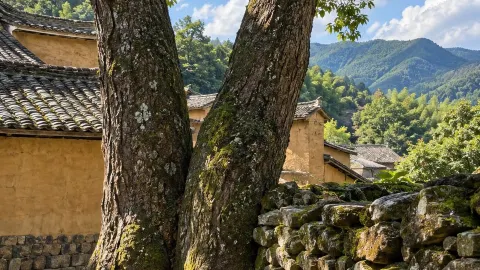 Songyang Ancient Village photography route — traveler post in Songyang