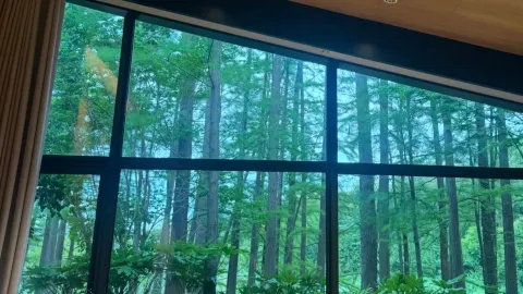 Hide away in a vast bamboo forest! This hidden gem hotel is the ultimate healing retreat — traveler post in Miluo