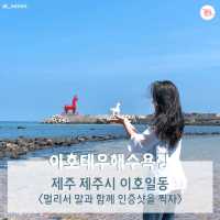 여행 뉴스 카드로 알아보는 제주도 2박 3일 코스