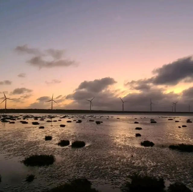 Instgram worthy windmills at Gaomei Wetlands 