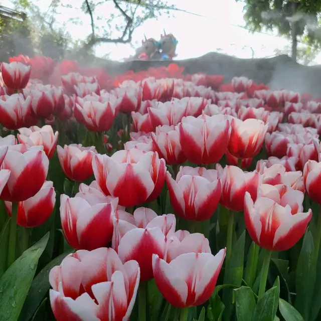 Chiang Mai Flowers Festival 2023