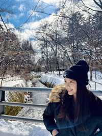 東京近郊🍀冬日輕井澤絕美打卡靚景—雲場池