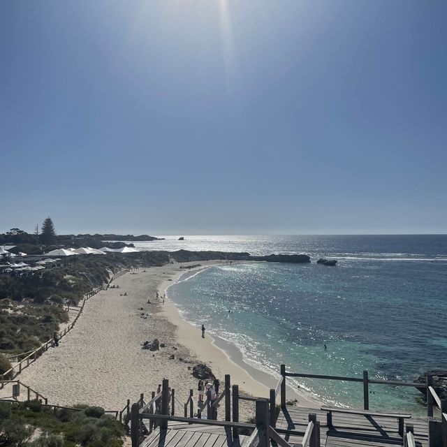 Rottnest Island Perth 