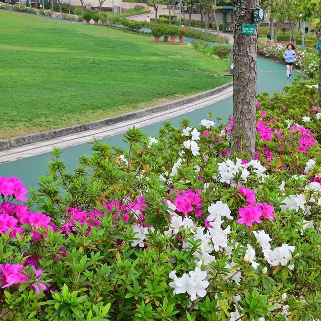 佐敦谷公園打卡絕對一流👍👍👍