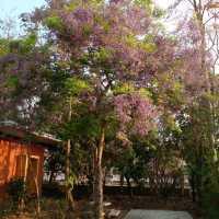 ลอฟท์สวยๆส่วนตัว ท่ามกลางธรรมชาติ
