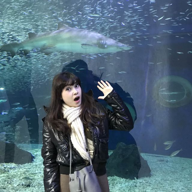 largest aquarium in Asia - Aqua Planet jeju