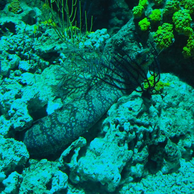 Xpark aquarium in taipei taoyuan