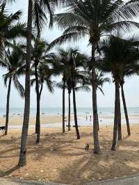 หาดจอมเทียน พัทยา 🏖️