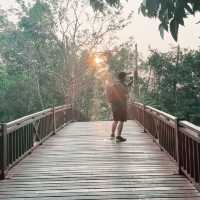 enjoy a day trip to bang kachao