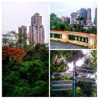 白鴿巢公園🤩奇幻園林風