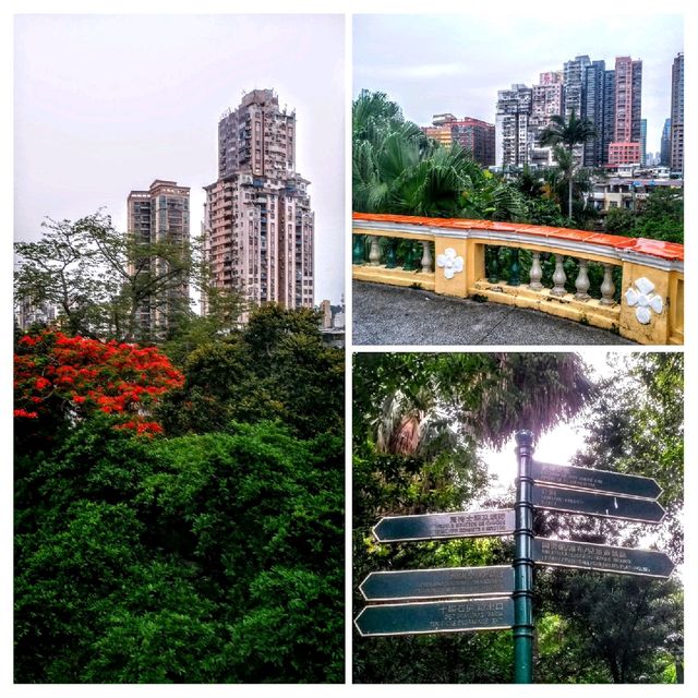 白鴿巢公園🤩奇幻園林風
