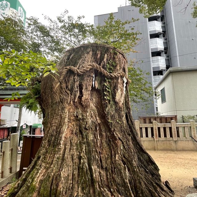 【神戸 三宮】神戸代表のパワースポット生田神社へ