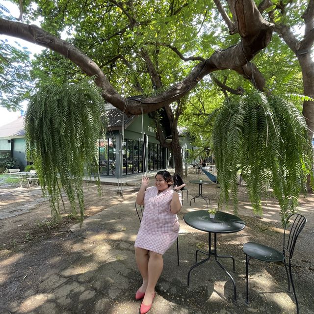 ขึ้นดอย ลุยคาเฟ่ หาหมอก แวะสันเขื่อน ณ เชียงใหม่