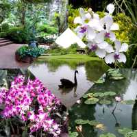 Serene Sanctuary Botanic Gardens Singapore 