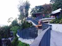 PINANG HILL