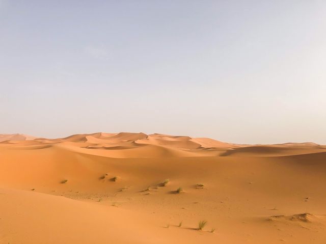 摩洛哥🇲🇦世界最大之撒哈拉沙漠🏜️(日)