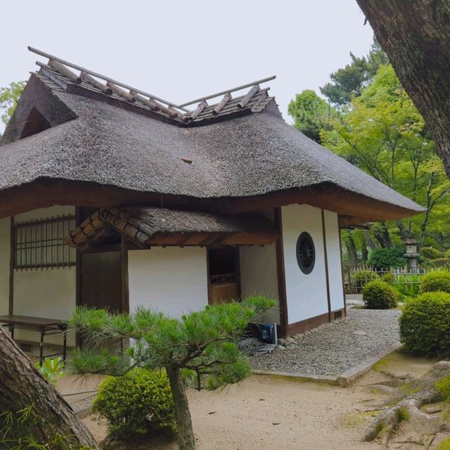 【広島の穴場スポット】国指定名勝「縮景園」