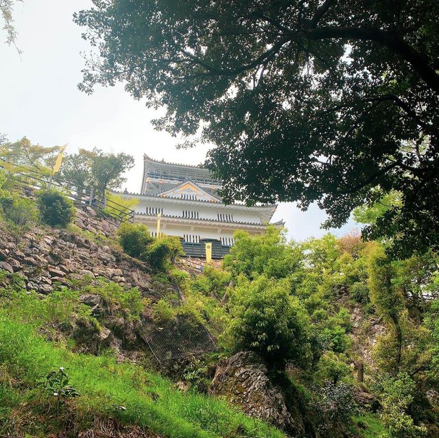 เที่ยวปราสาทกิฟุ (Gifu Castle) 🏰 