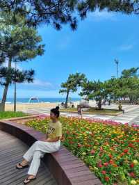 날씨 좋은날엔 강릉 경포해변🏖하세요!