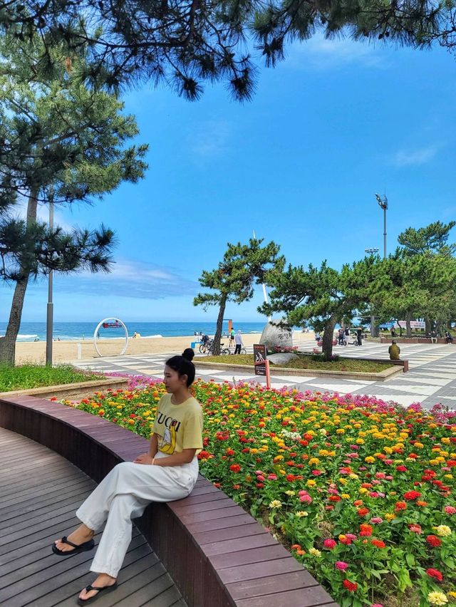 날씨 좋은날엔 강릉 경포해변🏖하세요!