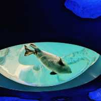 【巨大水槽を浅瀬から深層まで眺める】水族館
