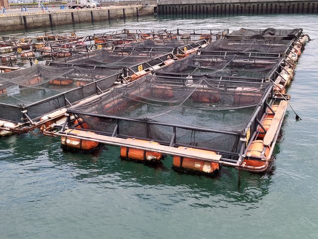 北九洲特式漁巿場 - 下關唐戶巿場