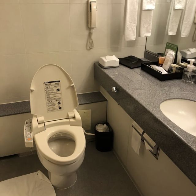 千挑萬選的酒店，就是這家東京京王廣場了