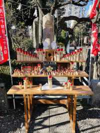 【東京都/亀戸天神社】人生の流れを表す3つの橋がある神社