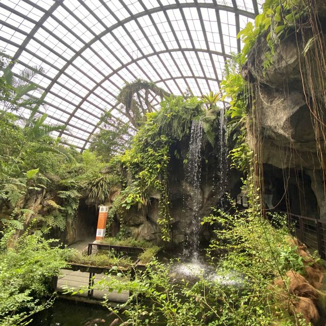 Entopia: Nature's Captivating Haven