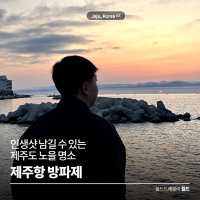 인생샷 남길 수 있는 제주 노을 명소 🌆 제주항 방파제