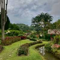 สวนไม้ดอกเมืองหนาวเบตง (สวนหมื่นบุปผาเบตง)