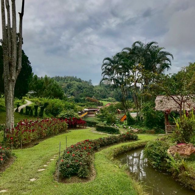สวนไม้ดอกเมืองหนาวเบตง (สวนหมื่นบุปผาเบตง)
