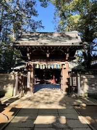 【東京都/赤坂氷川神社】生け花スタイルの花手水のある神社