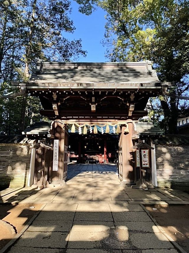 【東京都/赤坂氷川神社】生け花スタイルの花手水のある神社