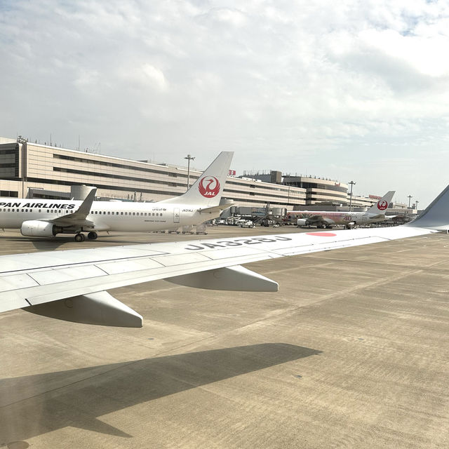 📍JAL国内線（羽田空港→釧路空港）搭乗記
