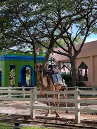 คาเมล รีพับบลิค Camel Republic ที่เที่ยวชะอำ