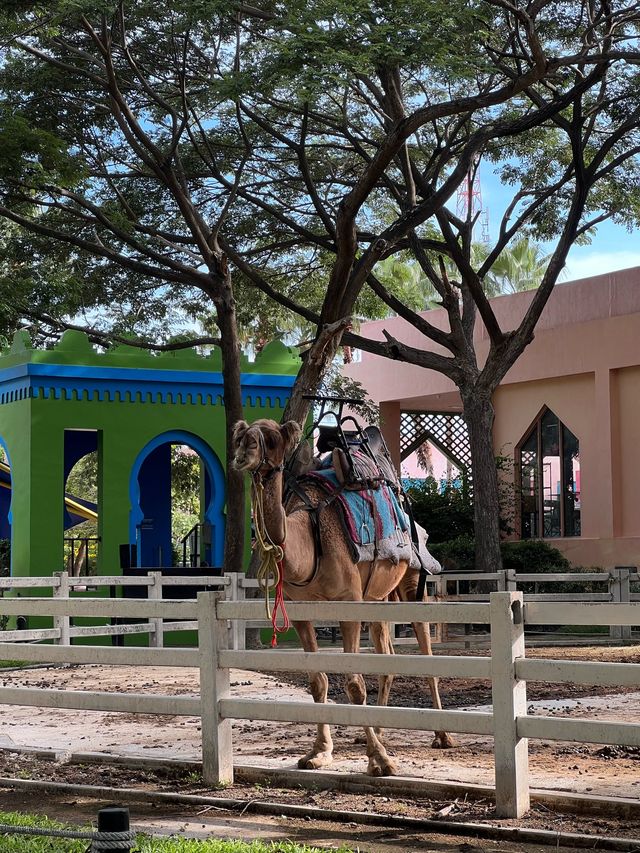 คาเมล รีพับบลิค Camel Republic ที่เที่ยวชะอำ