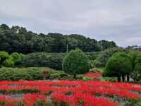 能古島半日遊