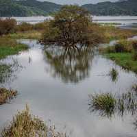 Beautiful of Yedang Reservoir 