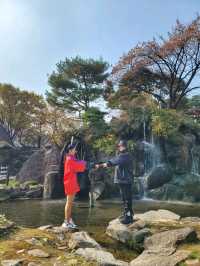 단풍구경도 하고 역사관람도 하는 강릉관광코스🍂