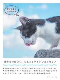 【香川】猫の島🏝️可愛い猫ちゃんと名言に癒される✨