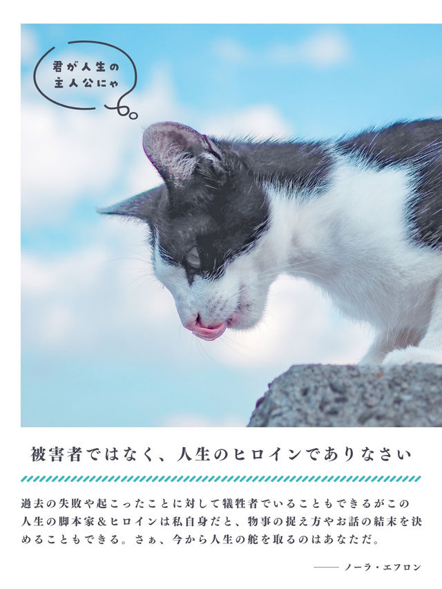【香川】猫の島🏝️可愛い猫ちゃんと名言に癒される✨