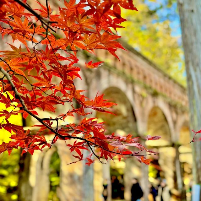 水路閣の紅葉