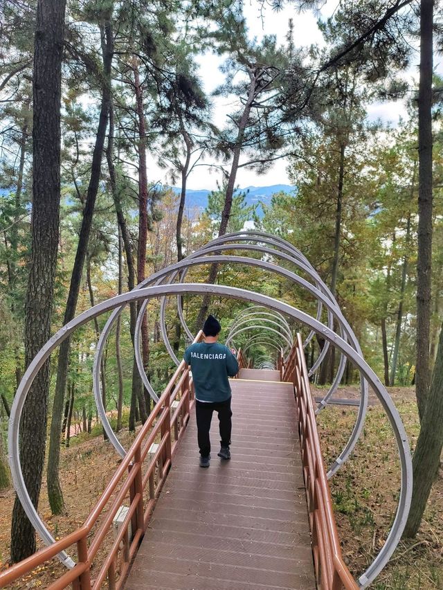 진양호 소원계단 걸으며 소원 빌어보기🙏
